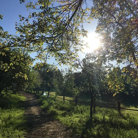 Maison d'hôtes Gaestehaus Kersting Meerbusch