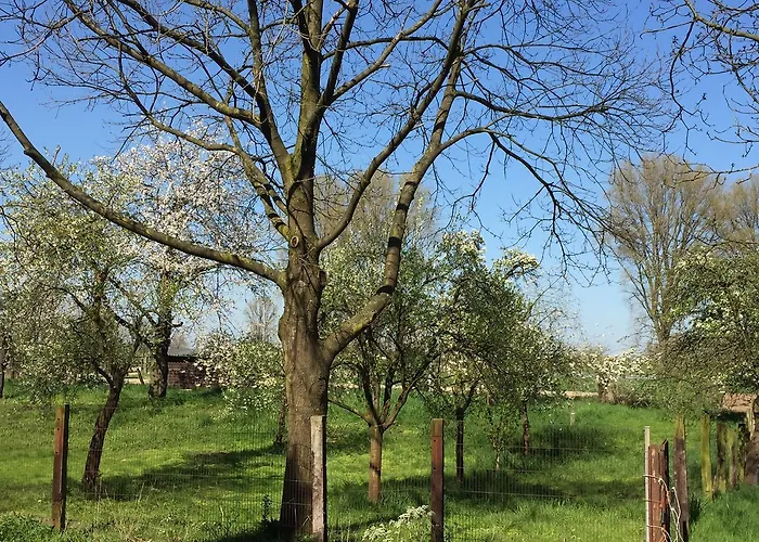 Gaestehaus Kersting Meerbusch